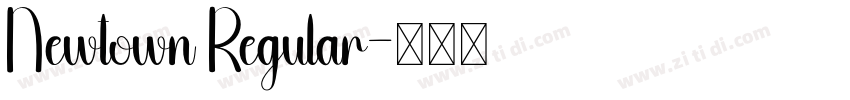 Newtown Regular字体转换